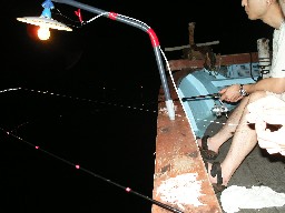 漁船でのんびり夜釣り、日焼けも気にせず　これはいい！