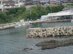 間人漁港